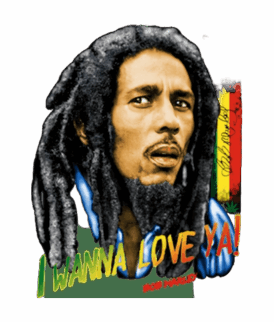 Bob Marley Heat Transfers