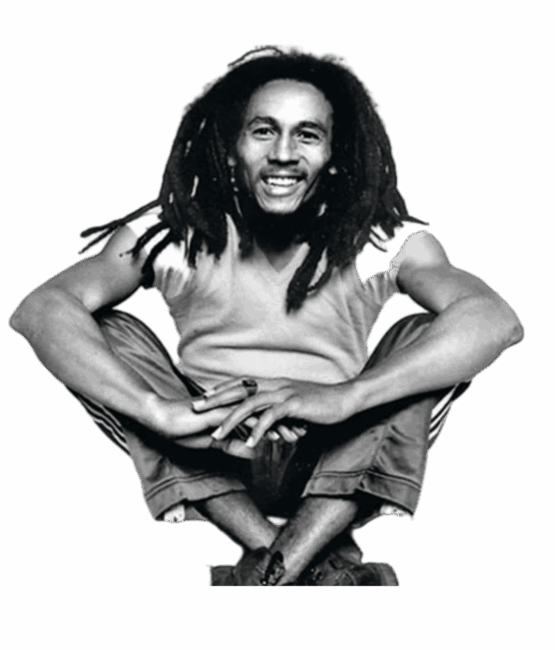 Bob Marley Heat Transfers