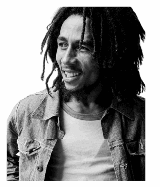 Bob Marley Heat Transfers