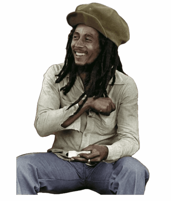 Bob Marley Heat Transfers