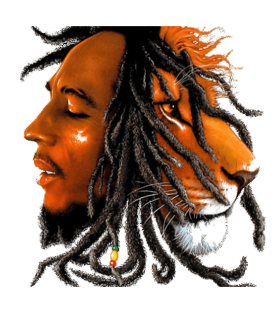 Bob Marley Heat Transfers