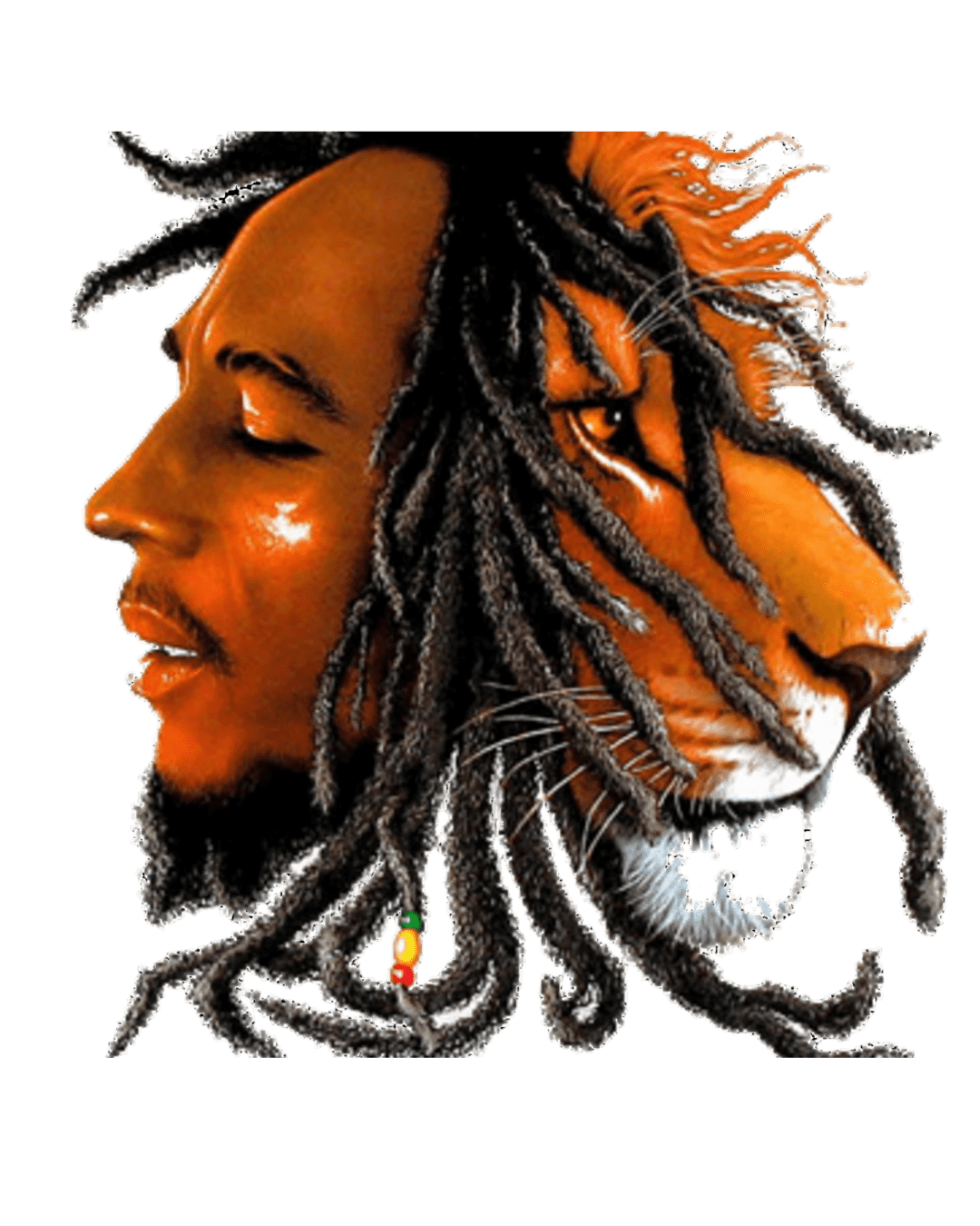 Bob Marley Heat Transfers