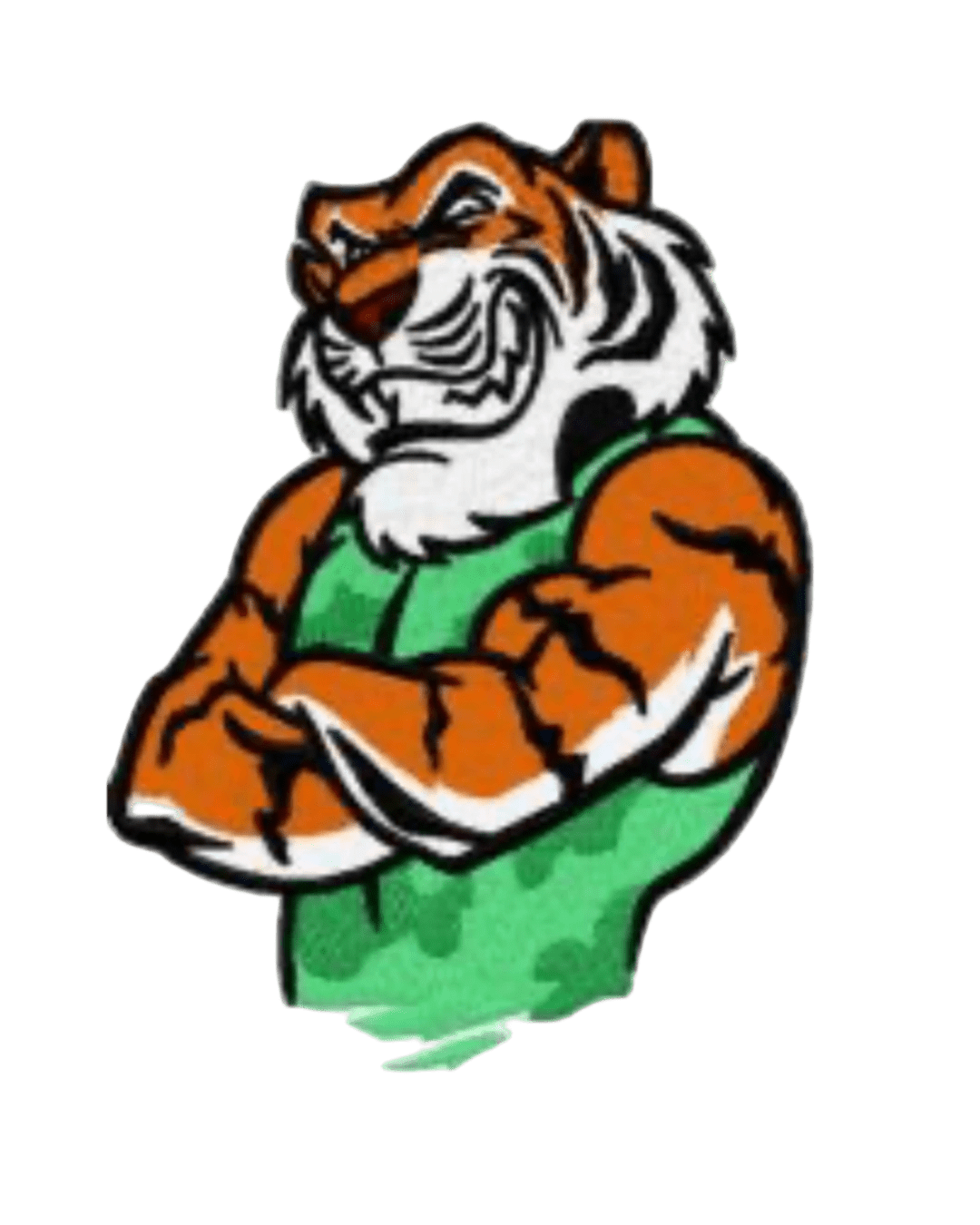 Tiger mascot embroidery design