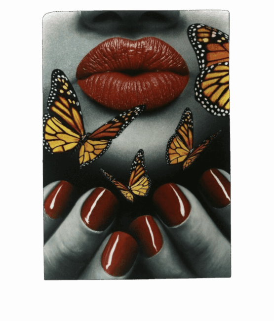 Butterfly lip Heat transfer screen printed