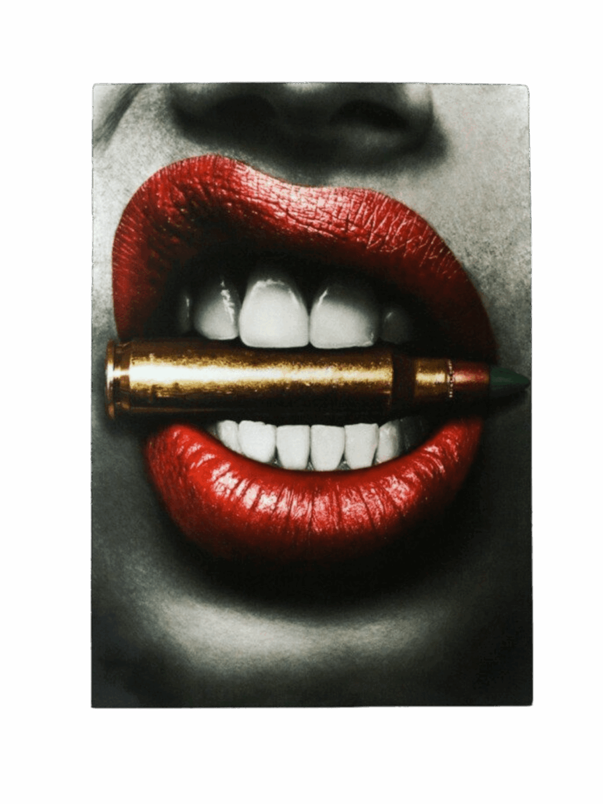 Bullet Lip Heat transfers