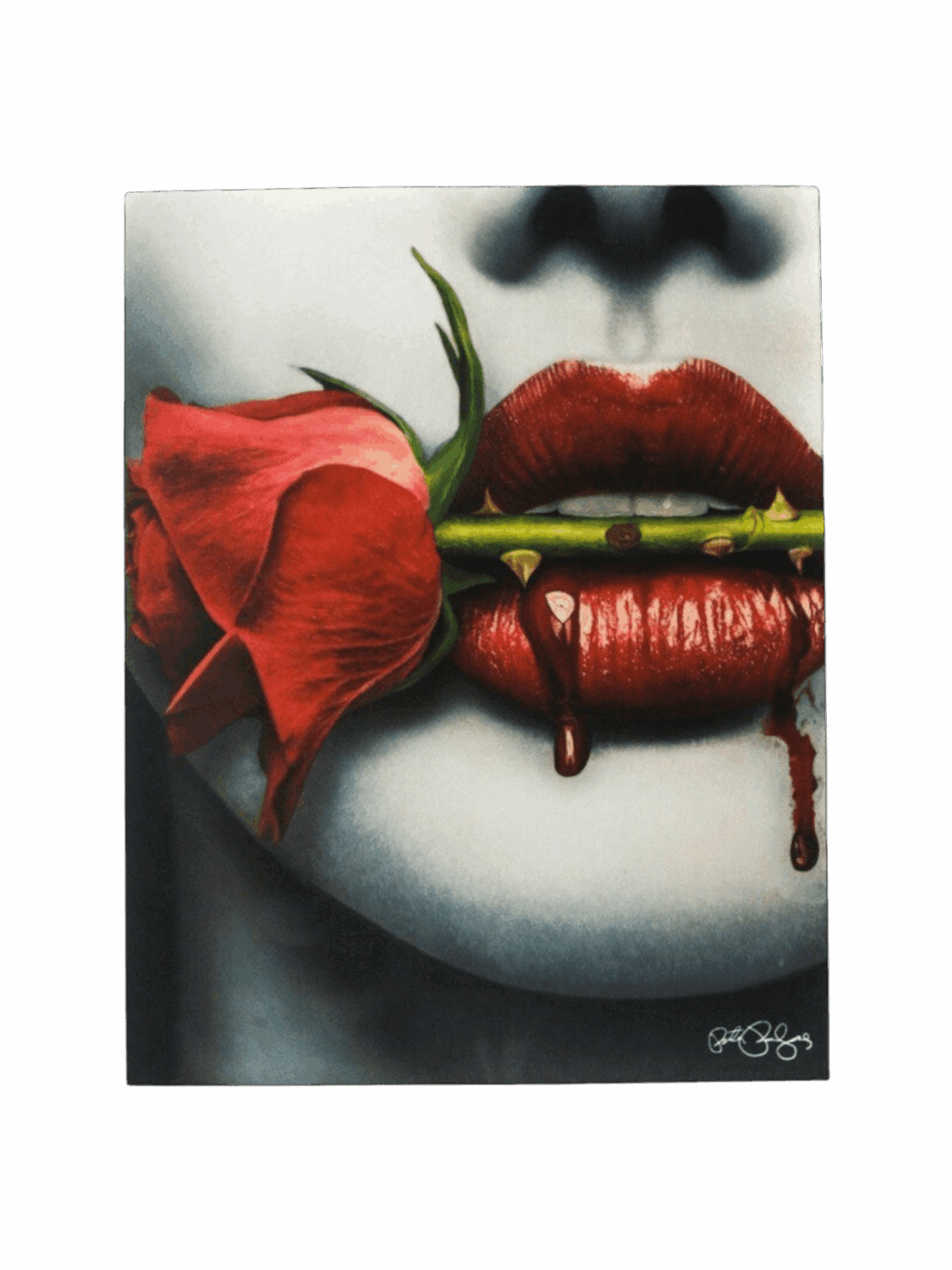Rose Lip Iron on Heat transfer screen printed