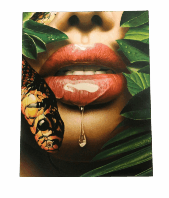 Snake lip screen print heat transfer 