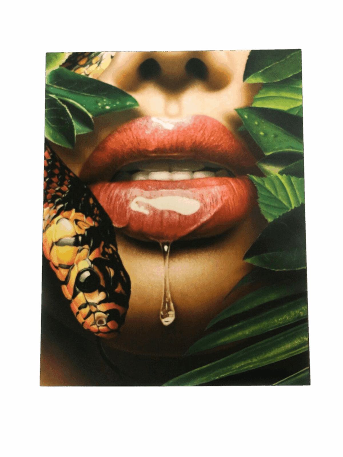 Snake lip screen print heat transferÂ