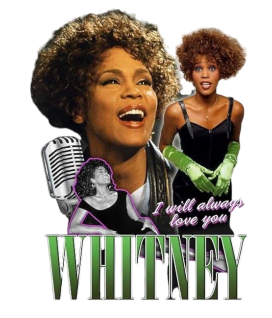 Whitney Houston t shirt heat transfers 20