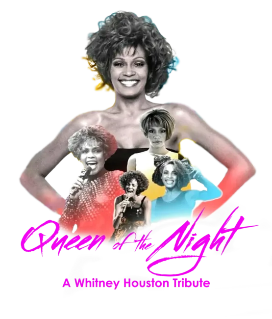 Whitney Houston t shirt heat transfers