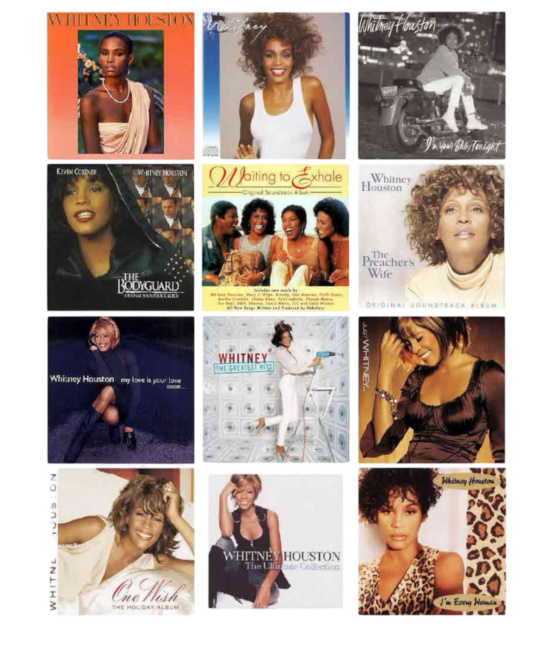 Whitney Houston t shirt heat transfers