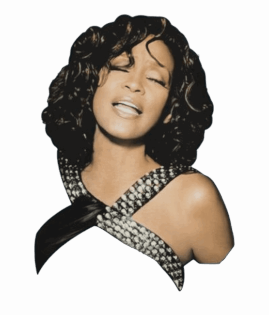 Whitney Houston t shirt heat transfers