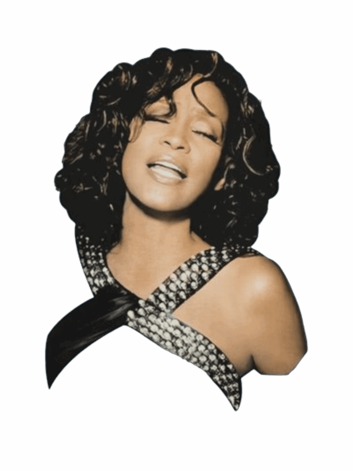 Whitney Houston t shirt heat transfers
