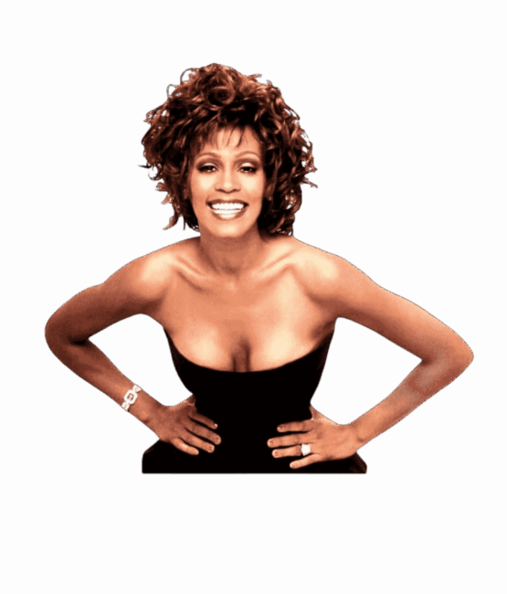Whitney Houston t shirt heat transfers