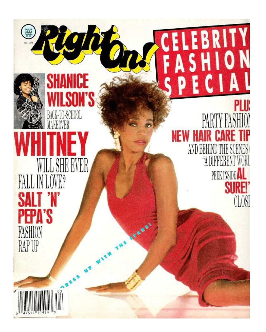 Whitney Houston t shirt heat transfers