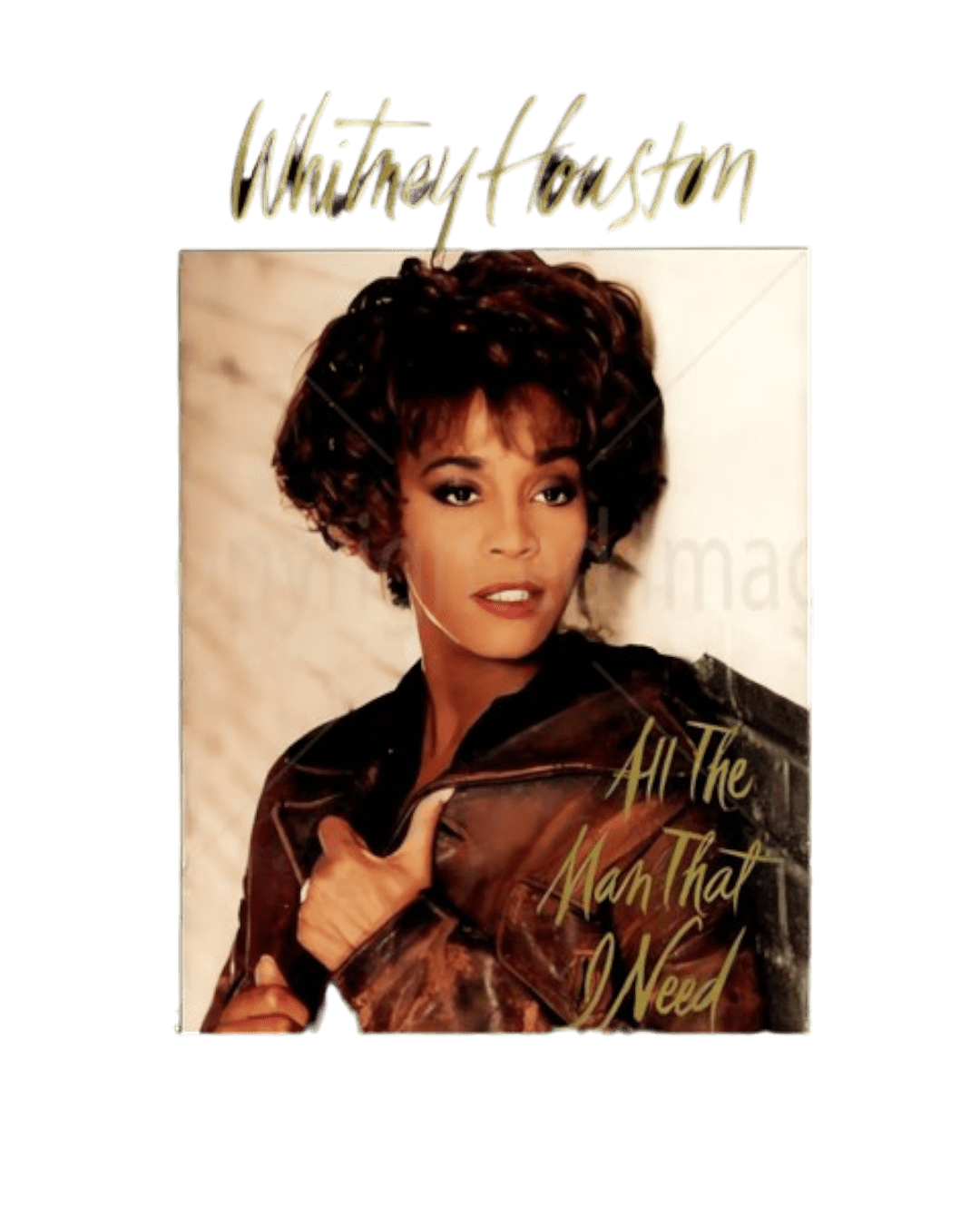Whitney Houston t shirt heat transfers