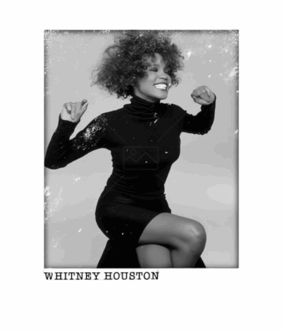 Whitney Houston t shirt heat transfers