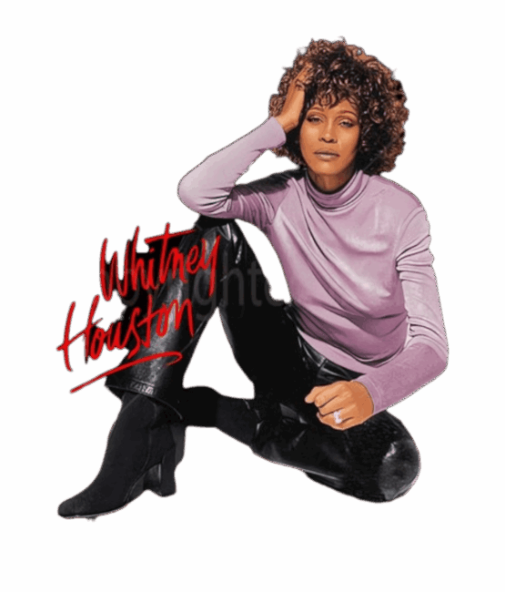 Whitney Houston t shirt heat transfers