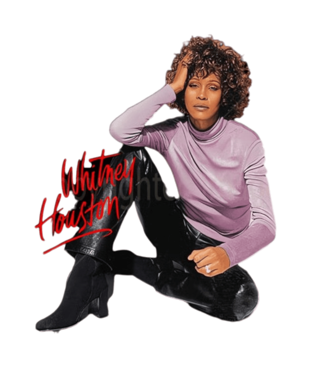 Whitney Houston t shirt heat transfers