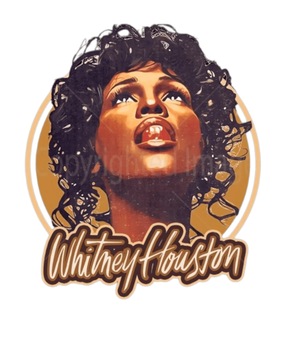 Whitney Houston t shirt heat transfers