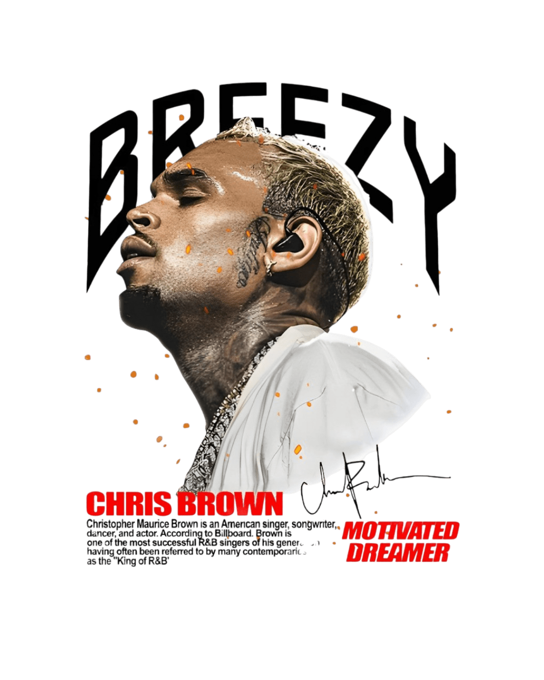 Chris Brown heat transfers 26