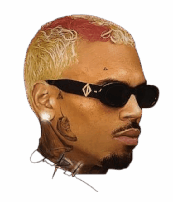 Chris Brown heat transfers 27