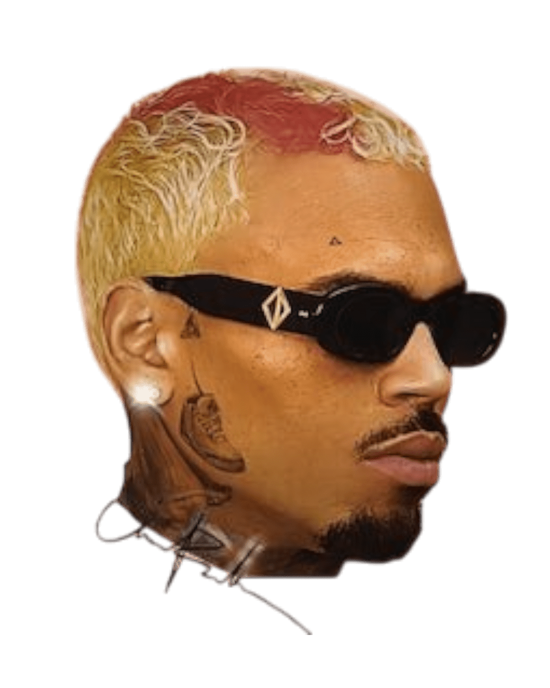 Chris Brown heat transfers 27