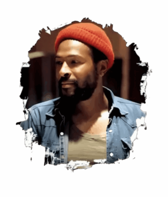 Marvin Gaye Vintage heat transfers 4