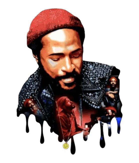 Marvin Gaye Vintage heat transfers 3