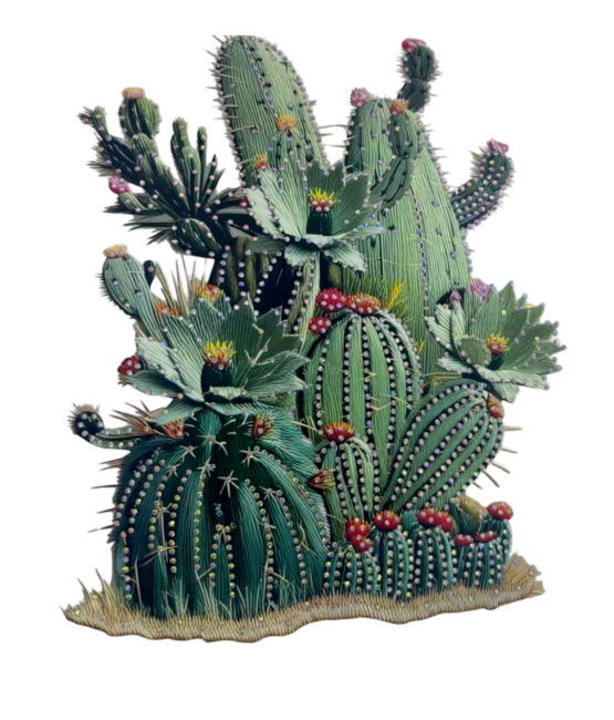 Cactus Fashion heat transfers