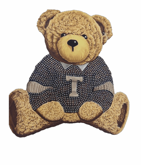 Brown bear heat transfers