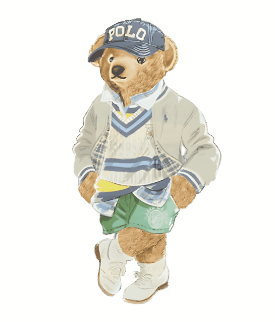 Cool teddy bear heat transfers