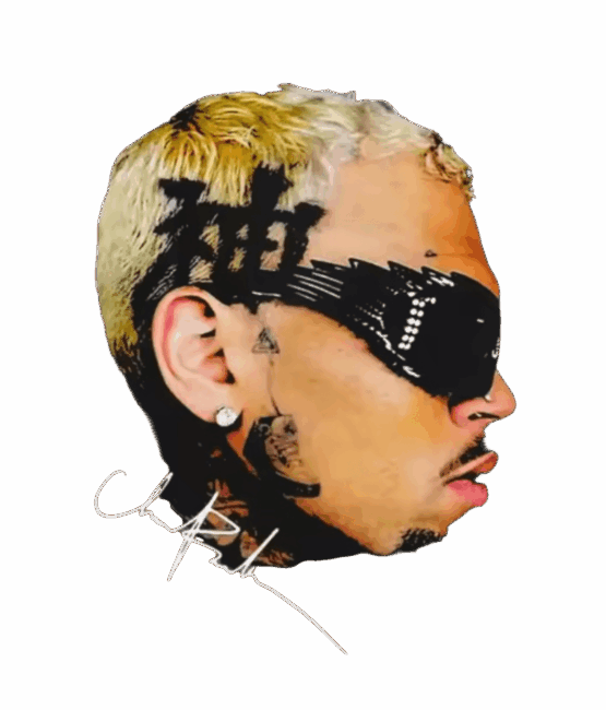 Chris Brown heat transfers 33