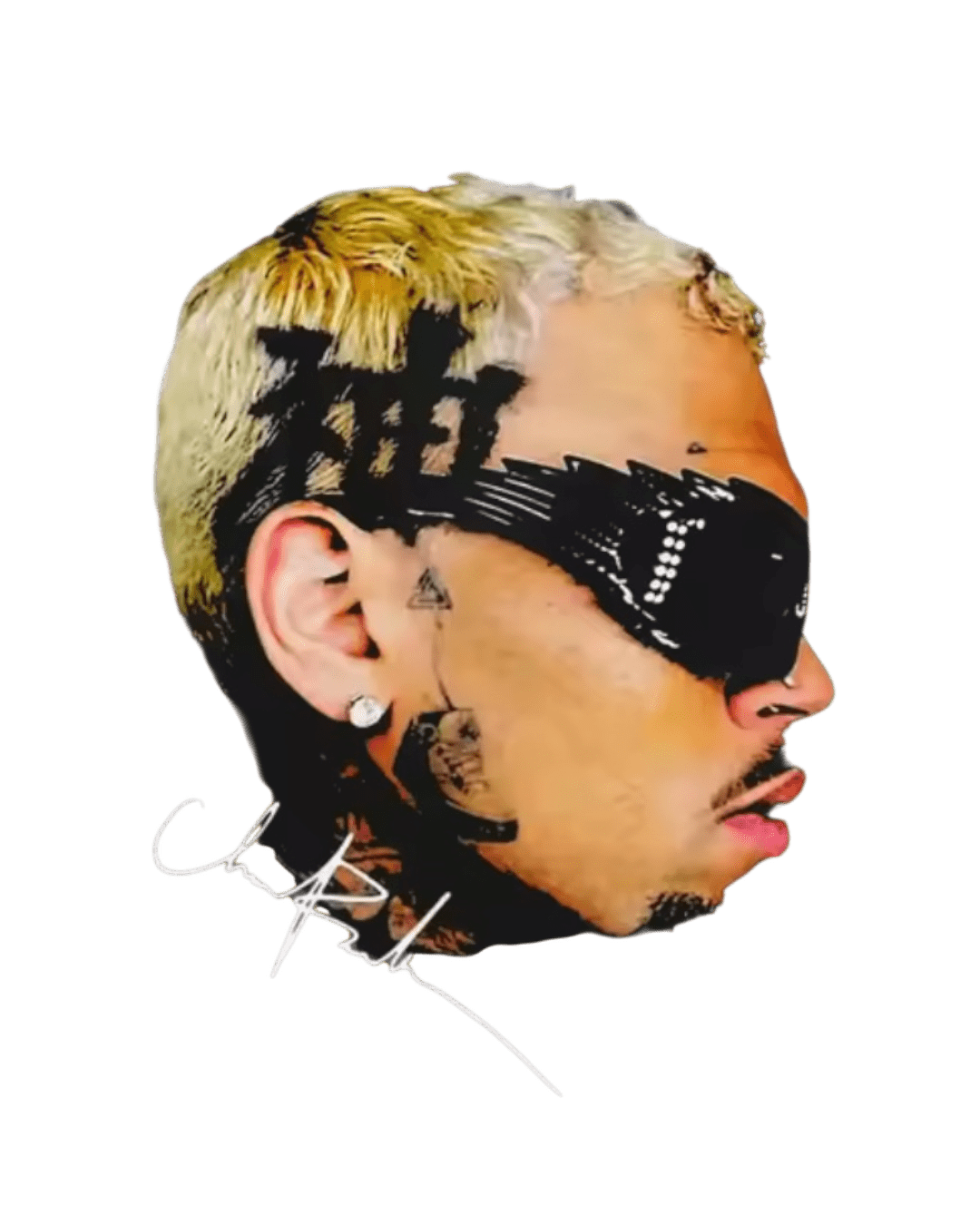Chris Brown heat transfers 33