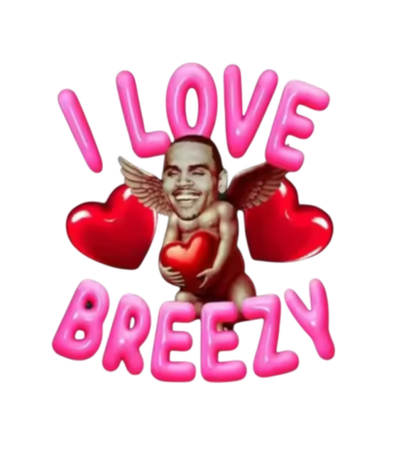 I love Chris Brown heat transfers
