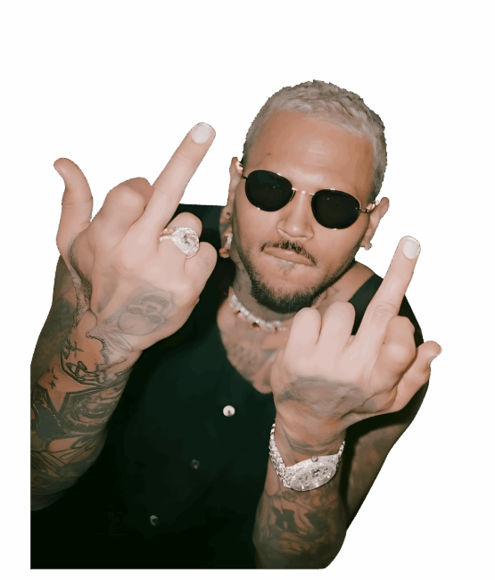 Chris Brown heat transfers 59
