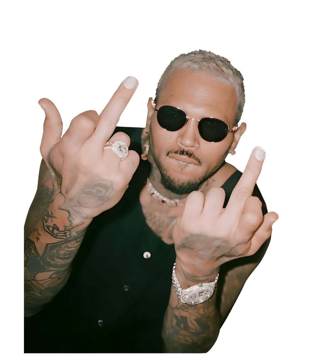 Chris Brown heat transfers 59