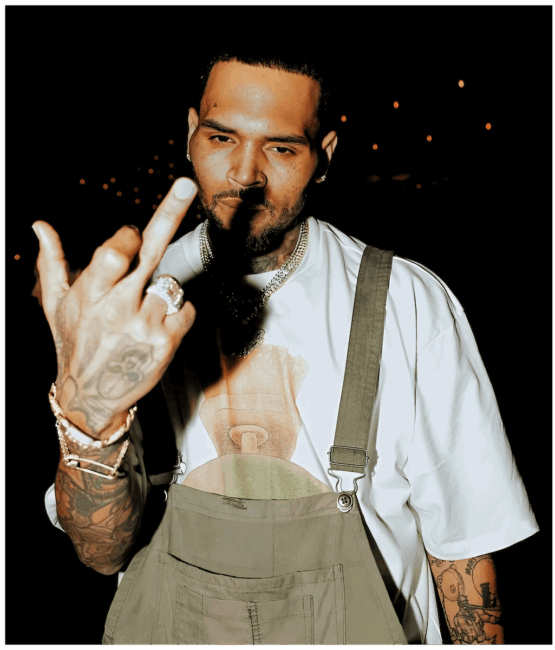 Chris Brown heat transfers 55