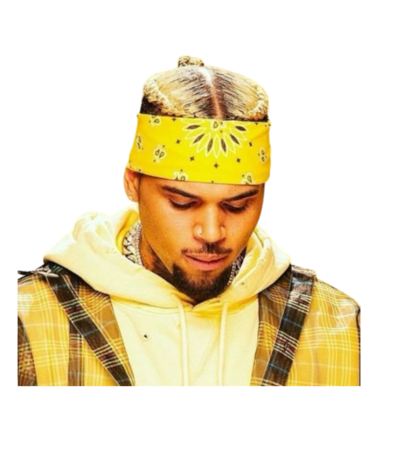 Chris Brown heat transfers 76