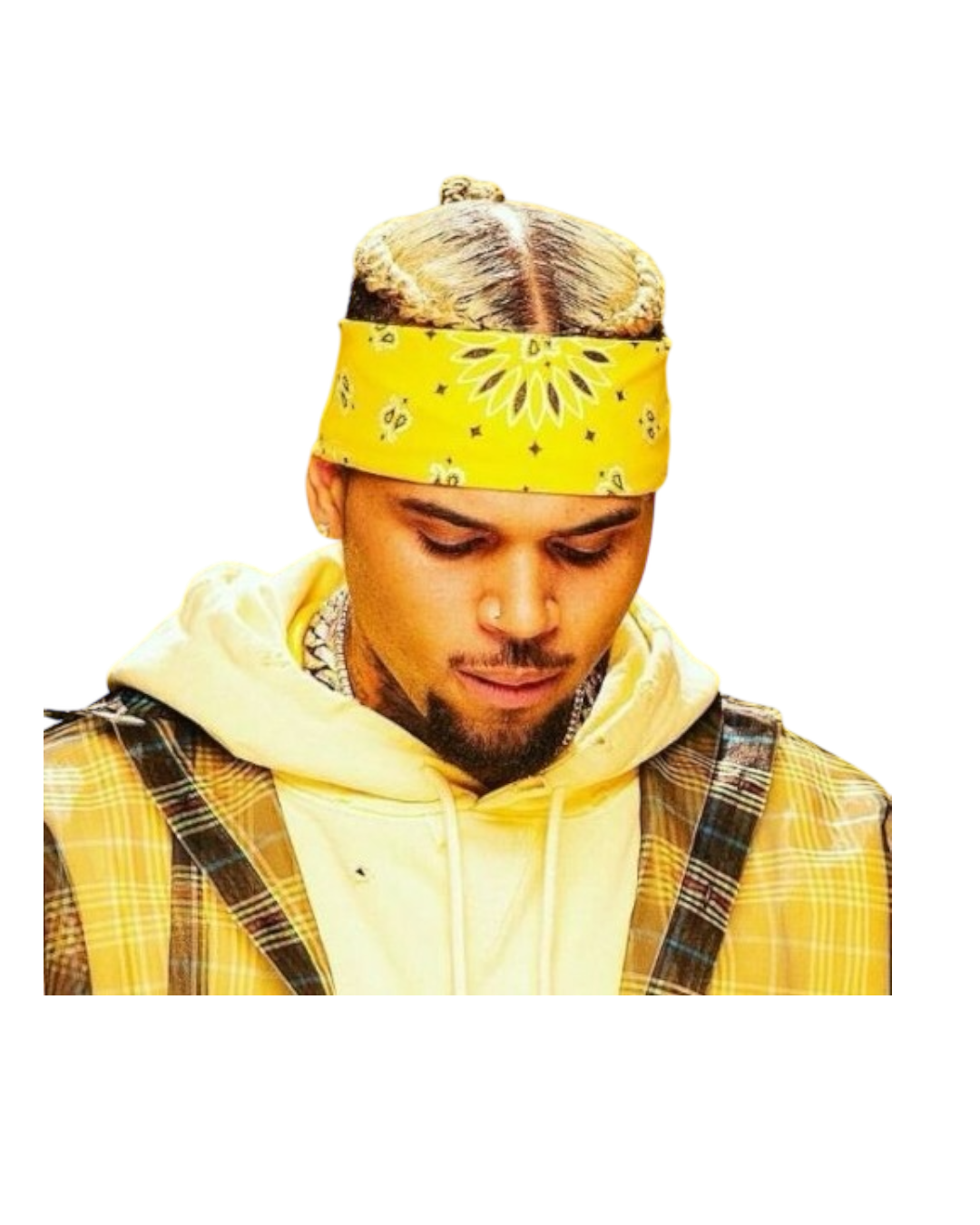 Chris Brown heat transfers 76