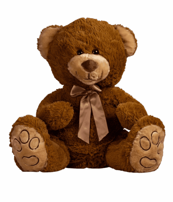 Custom Name text 18" Large Sitting Classic Bow Bear