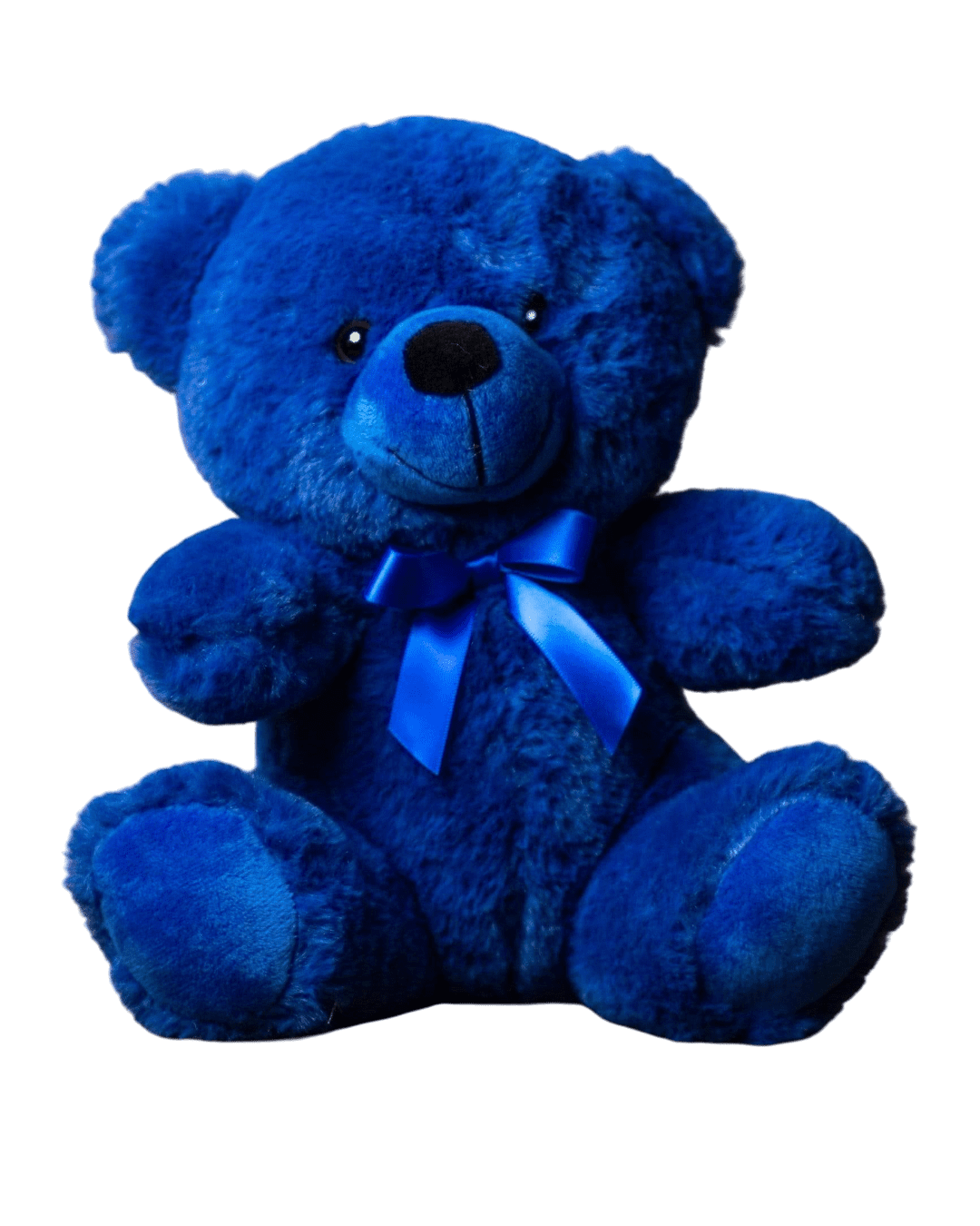 Custom Name text 9" Rainbow teddy Bear - Image 9