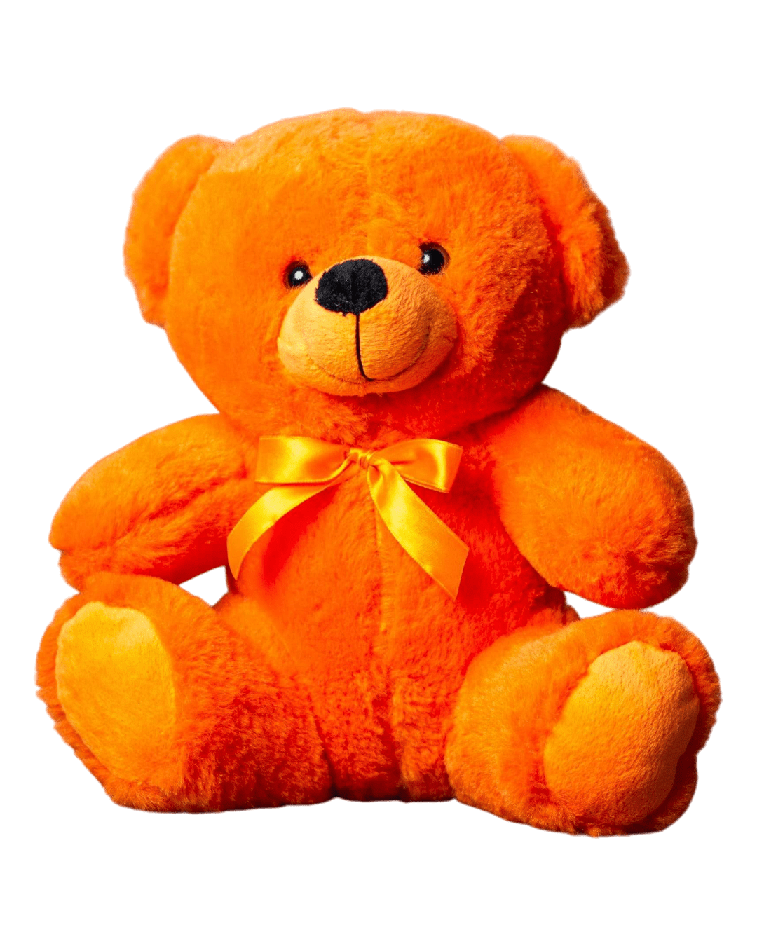 Custom Name text 9" Rainbow teddy Bear - Image 5