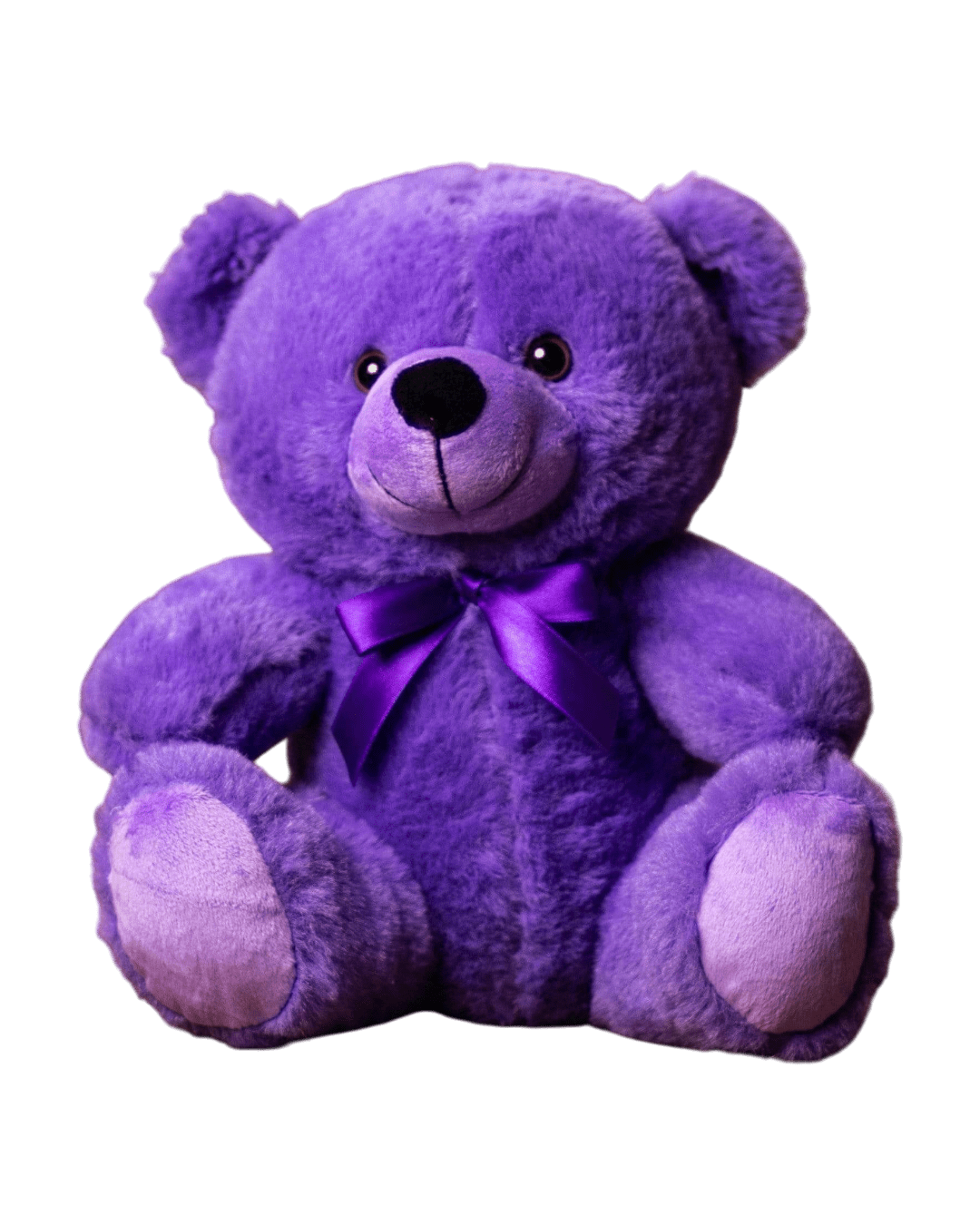 Custom Name text 9" Rainbow teddy Bear - Image 4