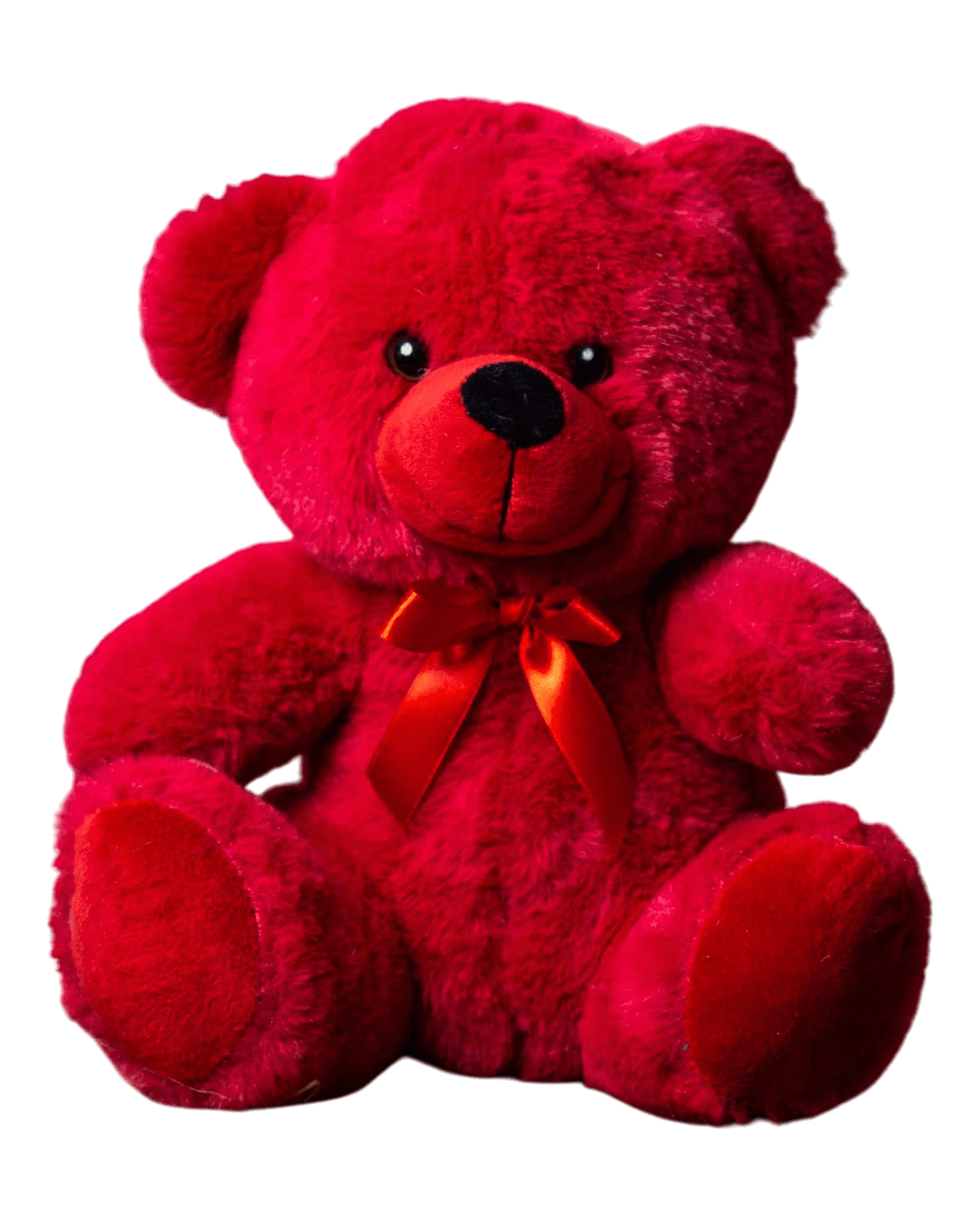 Custom Name text 9" Rainbow teddy Bear - Image 8
