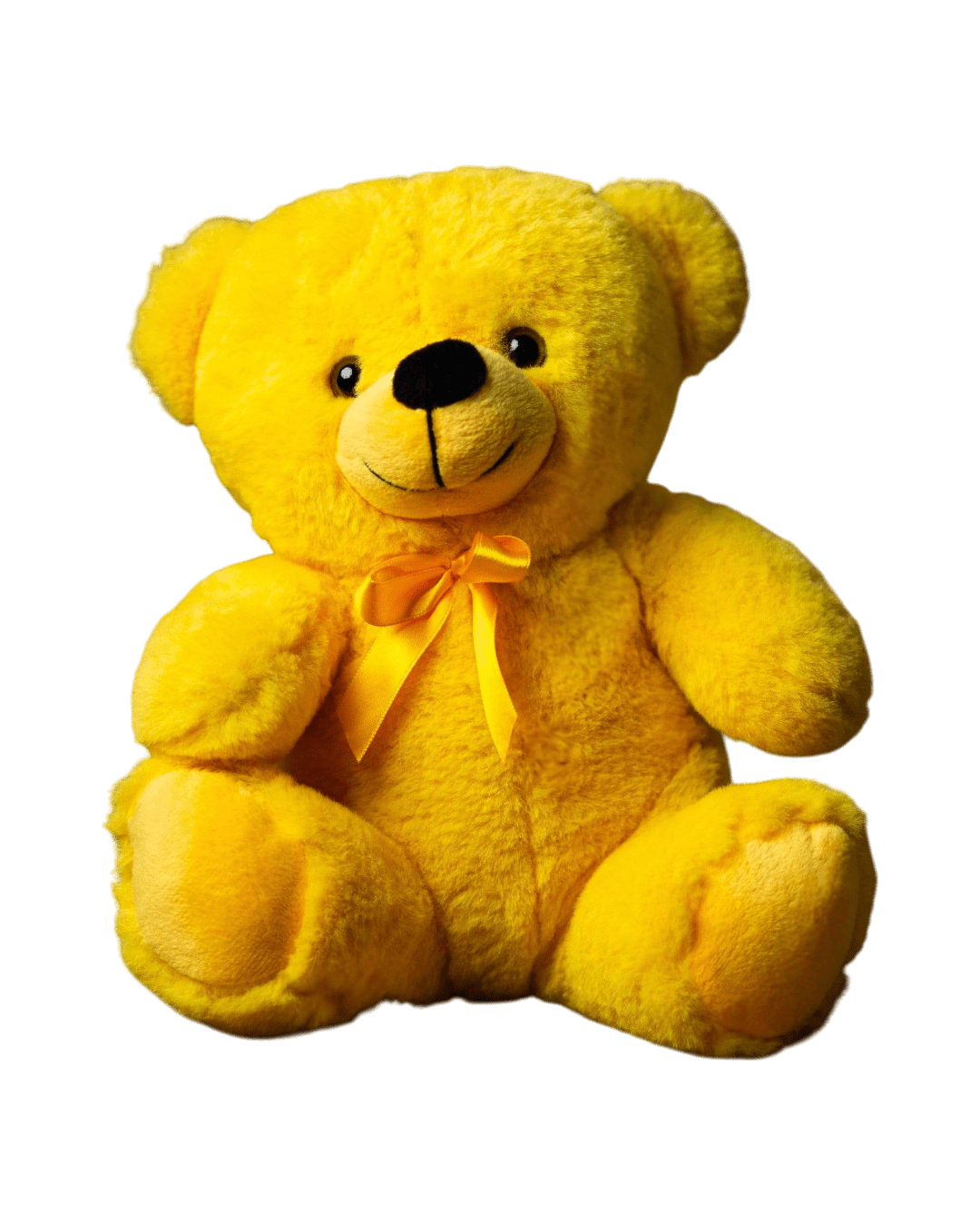 Custom Name text 9" Rainbow teddy Bear - Image 7