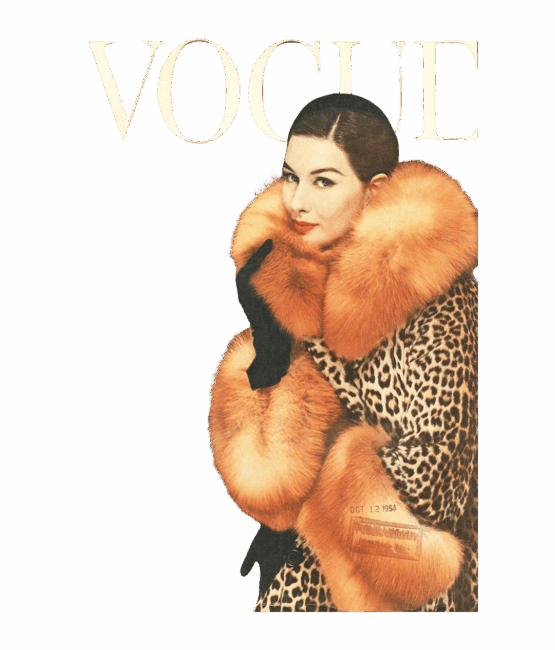 Vogue design 88 iron on heat transfers (Copy)