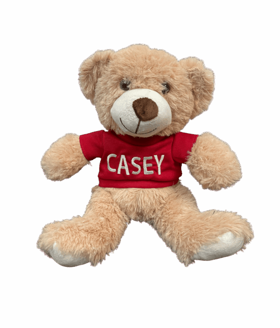 Custom Text Stuffed Bear 14" cozy plush bear