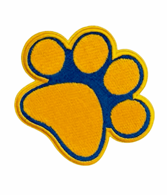 Sigma Gamma Rho Patches